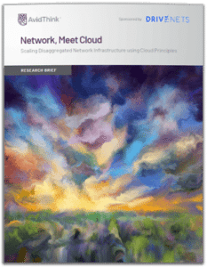 AvidThink Network and cloud