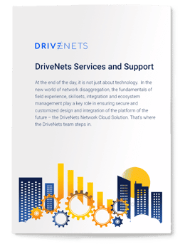 DriveNets Services and Support