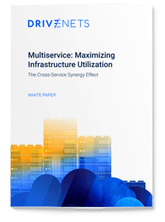 DriveNets Multiservice: Maximizing Infrastructure Utilization