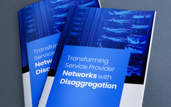 Transforming Service Provider Networks with Disaggregation