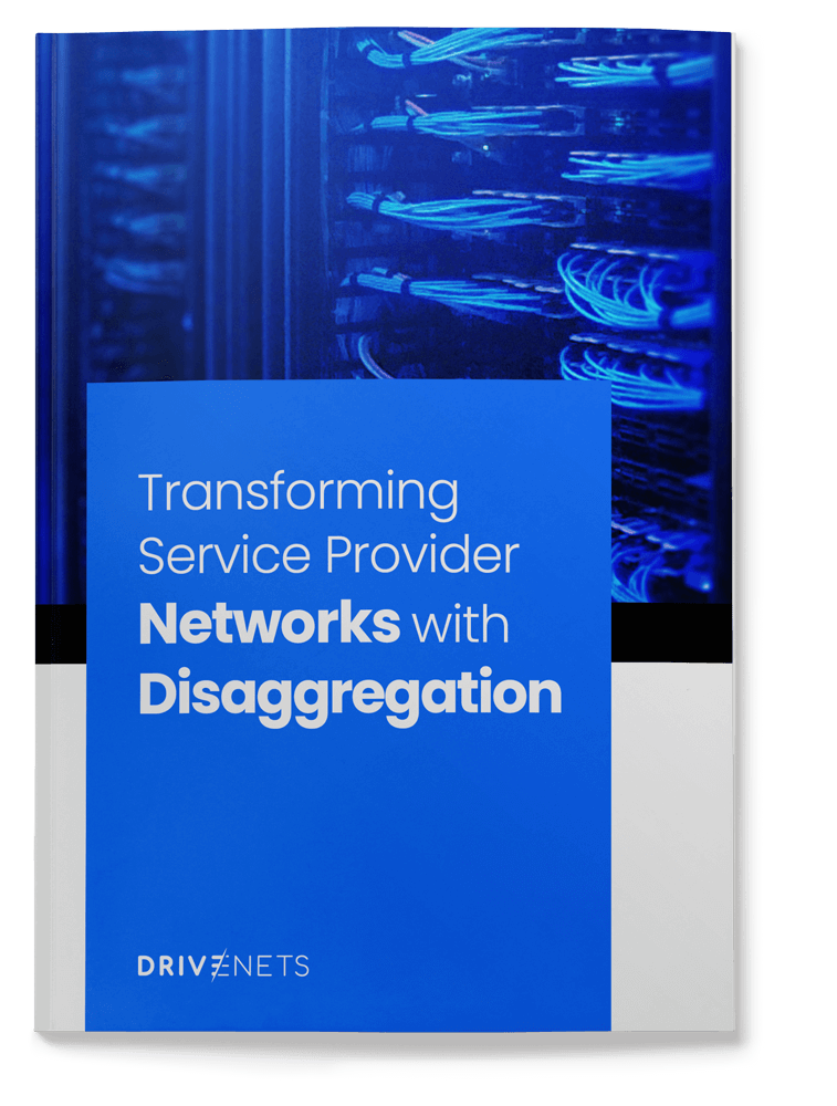 Transforming Service Provider Networks with Disaggregation