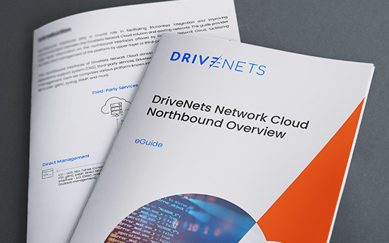 DriveNets Network Cloud Northbound Overview Guide