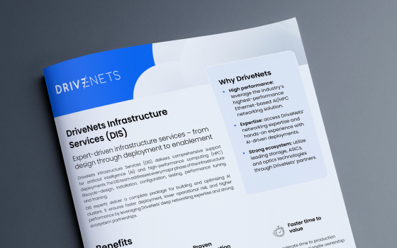 DriveNets Infrastructure Services DriveNets Infrastructure Services