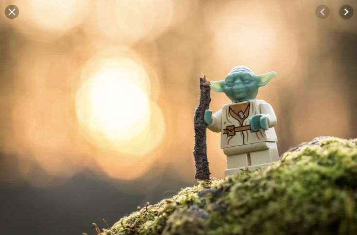 may the fourth be with you(r) network